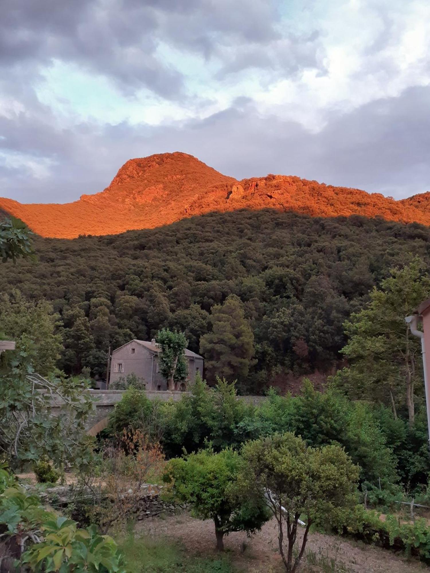 Cap Corse - Maison A 500M De La Plage Grillasca מראה חיצוני תמונה